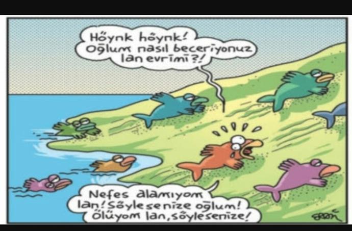 Evrim Kuramı Hakkında Yanılgılar