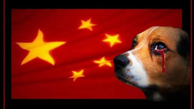 Yulin Köpek Yeme Festivali'ni Durdurun. Sen de patini kaldır ve imzanı ekle!