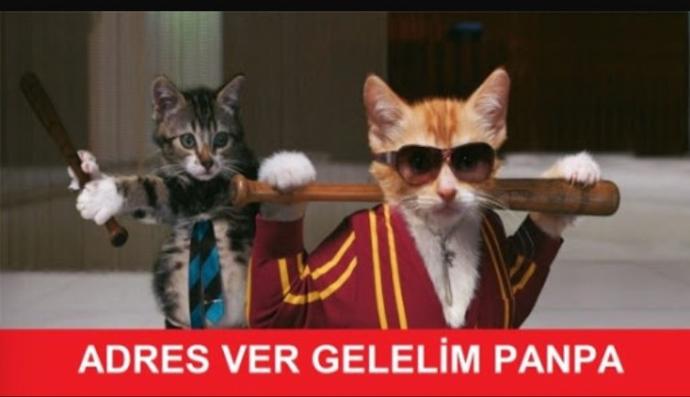Capslerle tebessüm...