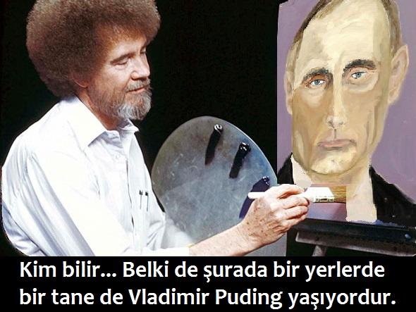 Vladimir Puding Karikatürleri - 1