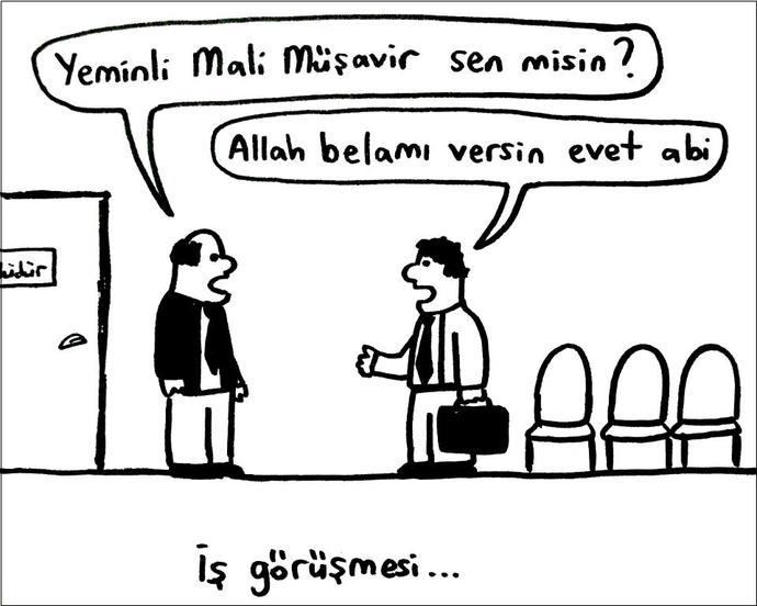 Vladimir Puding Karikatürleri - 1
