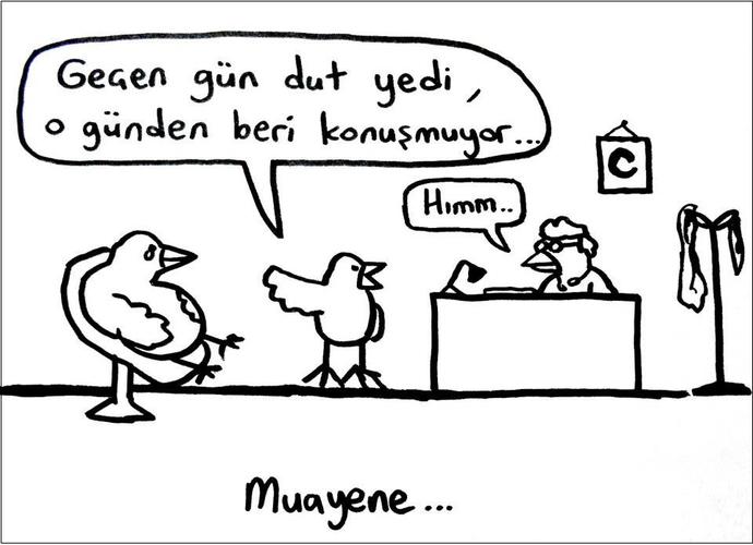 Vladimir Puding Karikatürleri - 1