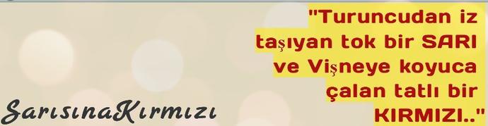 Hangi ünlüler hangi takımlı?