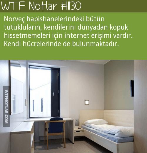 En İçten Dileklerimle Özgürlük, Anarşizm, İnsanlık!