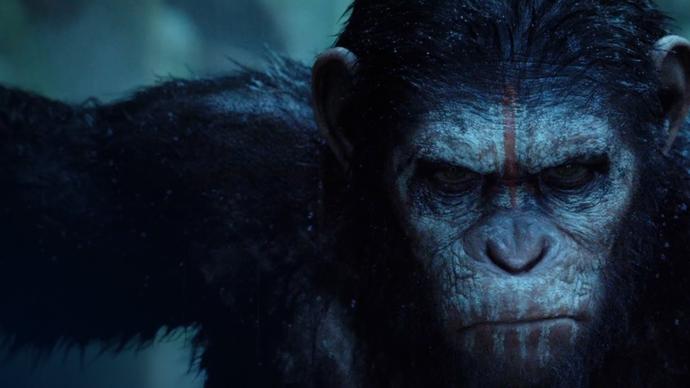 Görüntü Kalitesi, Efektleri, Kurgusuyla Bambaşka Bir Dünyaya Götüren Filmler