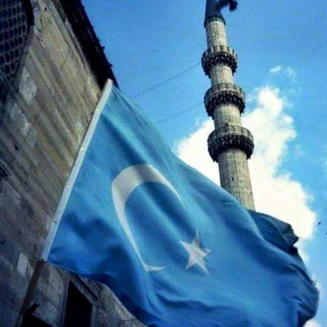 Neden Herkes Susuyor? Doğu Türkistan Kan Ağlıyor!