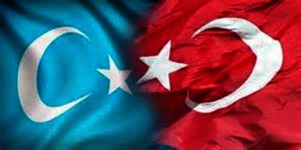 Neden Herkes Susuyor? Doğu Türkistan Kan Ağlıyor!
