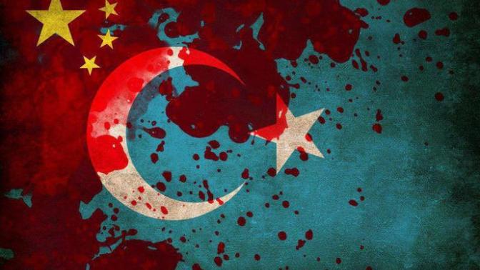 Çin "Halt" Cumhuriyeti'nin Katliamının Gerçek Yüzü