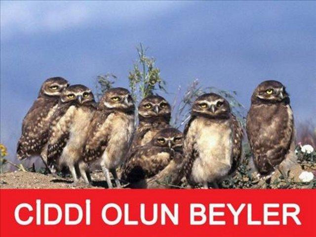 Capslerle En Komik Diyalogları Sizler İçin Derledim