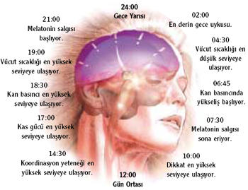 Zeka Geliştirme Yöntemleri