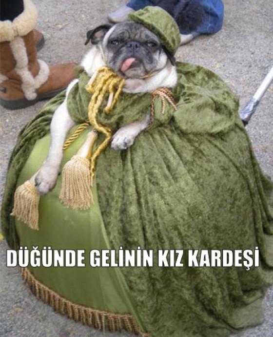 Düğünlerin Vazgeçilmezi Gelinin Kız Kardeşleri