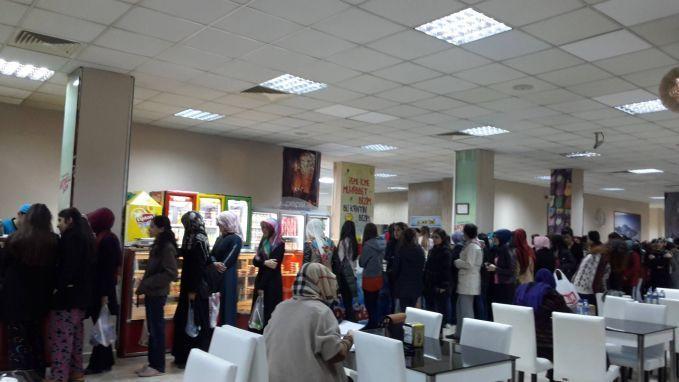 İnsan Olarak Aslında Biz de Kuyrukluyuz