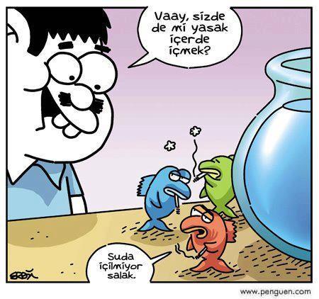 Sigaranın Faydaları