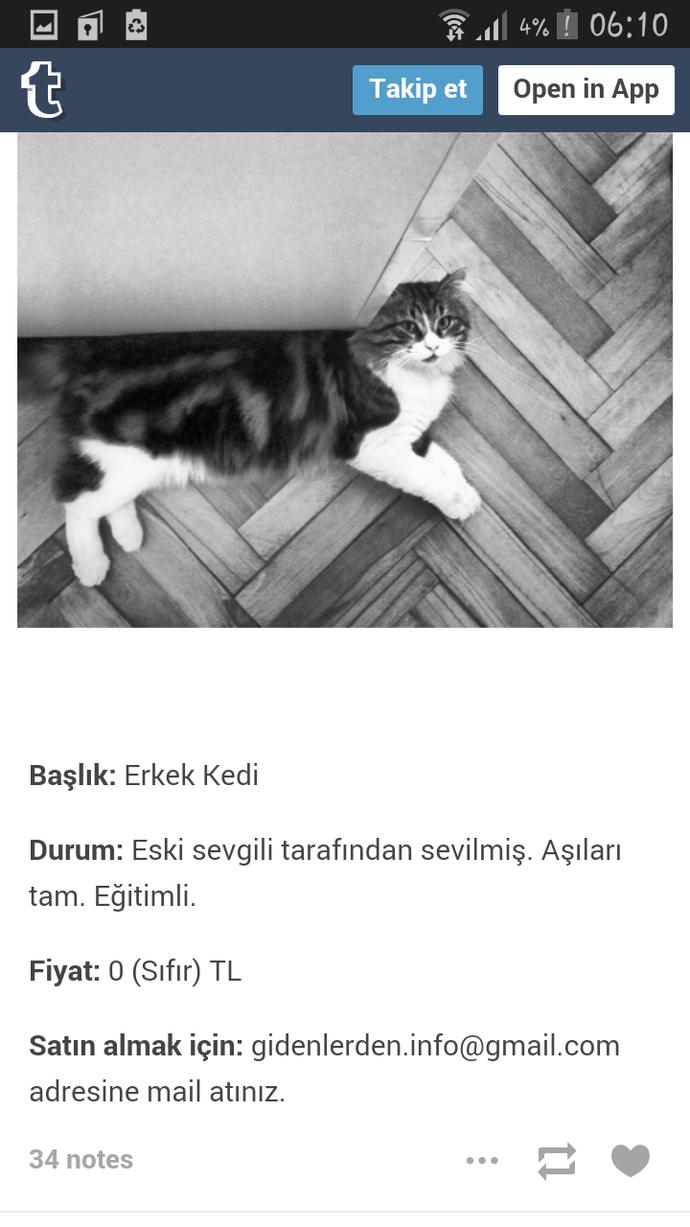 Gidenlerden Kalanlar!