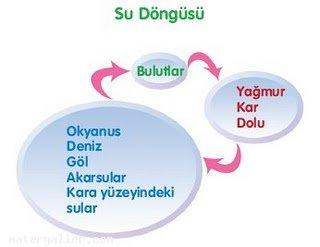 Evrendeki Eşsiz Uyum