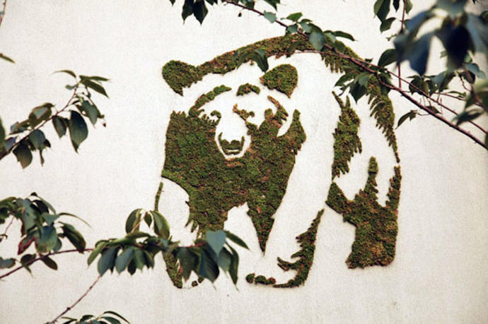 Caddeleriniz, Duvarlarınız İçin Yosun Grafiti Yapımı