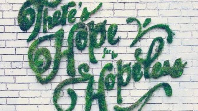 Caddeleriniz, Duvarlarınız İçin Yosun Grafiti Yapımı