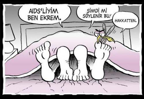 Yazın Belası Sivrisinekler