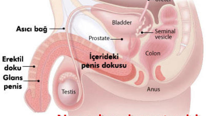 Kısa penisliler için tavsiye