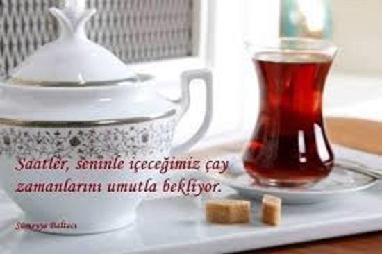 Türkü, Şiir, Kitap, Çay Bilmeyene Gönül Vermeyiz