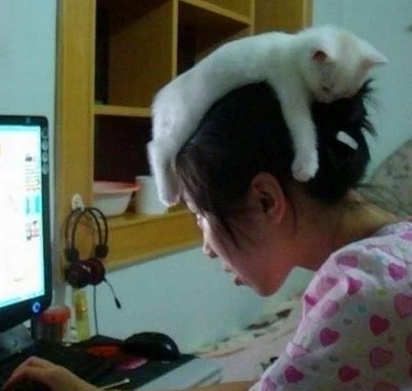 Kedi Sahibi Olanların Yaşadıkları