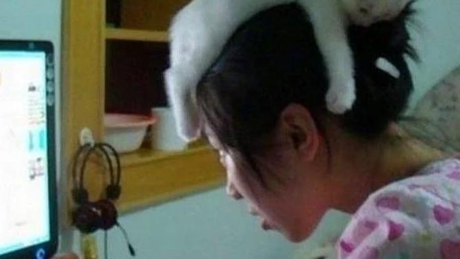 Kedi Sahibi Olanların Yaşadıkları