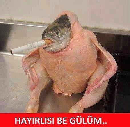 Evli Erkeklerin Göz Göre Göre Üste Çıkma Becerileri