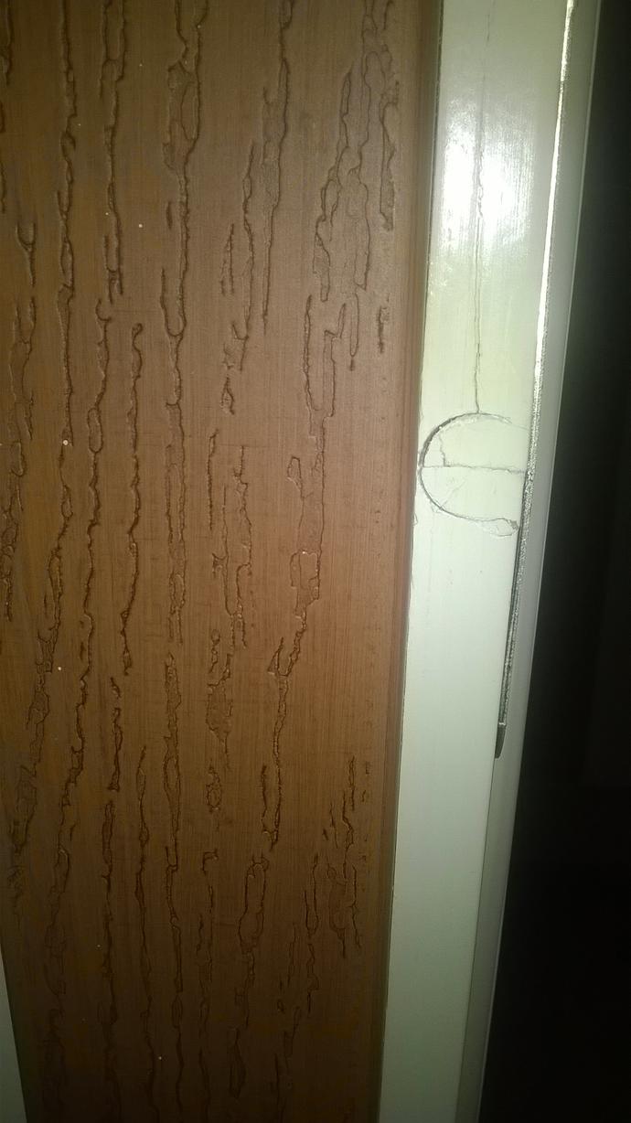 Misafir Çocuğunun Gazabı