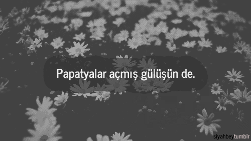 Avuçlarında Papatya Varmış...