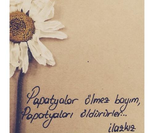 Avuçlarında Papatya Varmış...