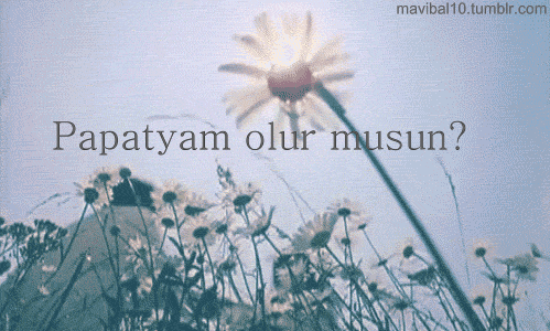 Avuçlarında Papatya Varmış...