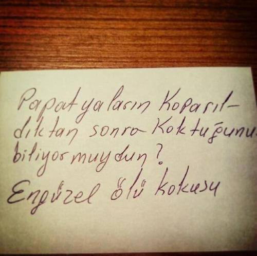 Avuçlarında Papatya Varmış...