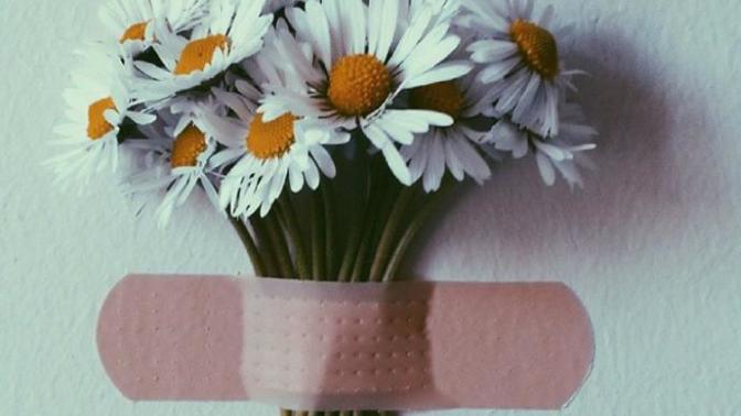 Avuçlarında Papatya Varmış...