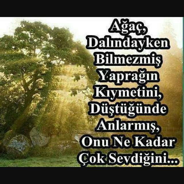 Yalnızlık İyi mi Kötü mü?