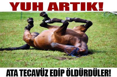 Cinselliğin Afrikası Türkiye