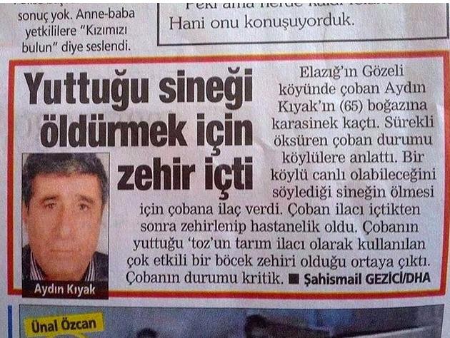 En İlginç ve Bir O Kadar Komik Yaşanmış Olaylar