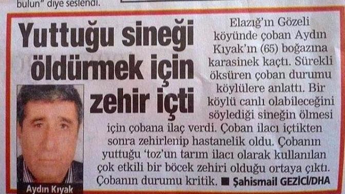 En İlginç ve Bir O Kadar Komik Yaşanmış Olaylar