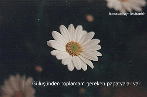 Kadınları Mutlu Etmek Zor Değil