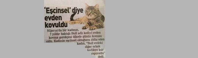 Homoseksüellik, Biseksüel Birey Olmak Tamamen Normal Bir Şey!