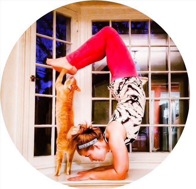 Evcil Hayvanınız Varken Yoga & Sporunuz Berbat Olacak
