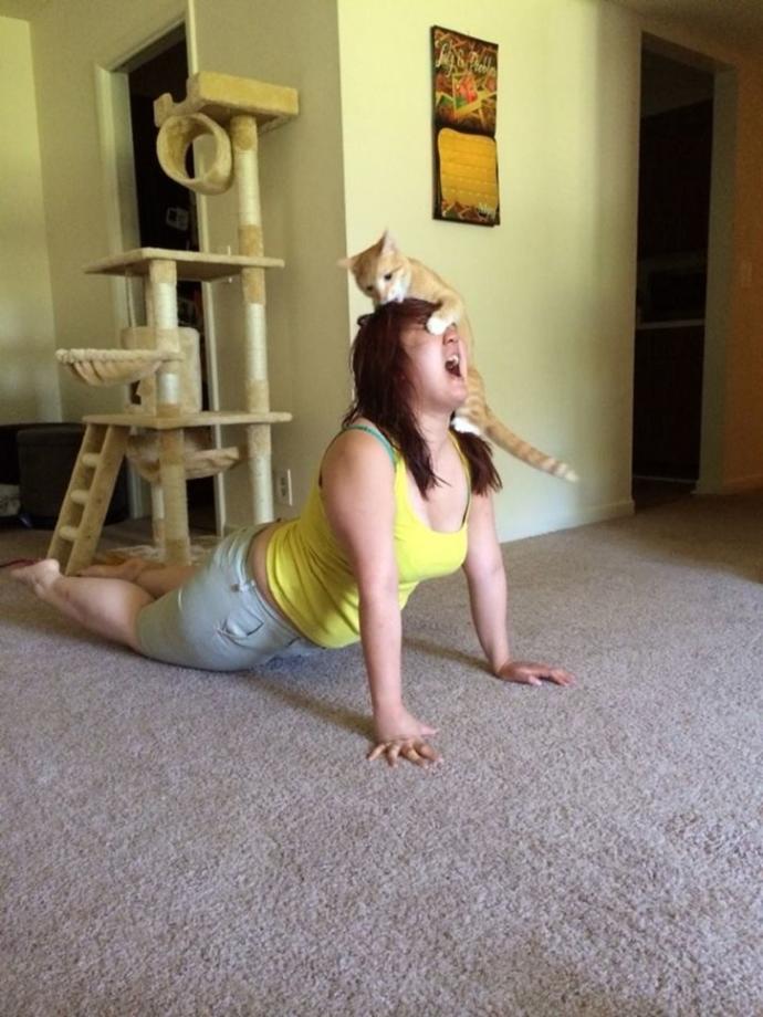 Evcil Hayvanınız Varken Yoga & Sporunuz Berbat Olacak