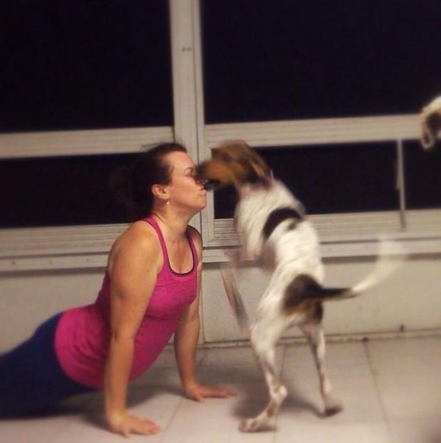 Evcil Hayvanınız Varken Yoga & Sporunuz Berbat Olacak