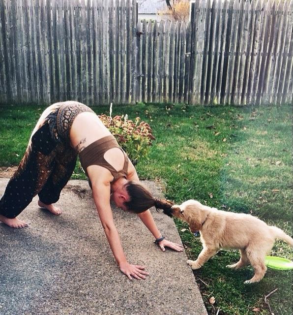 Evcil Hayvanınız Varken Yoga & Sporunuz Berbat Olacak