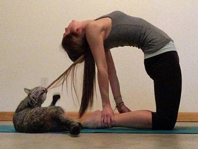 Evcil Hayvanınız Varken Yoga & Sporunuz Berbat Olacak