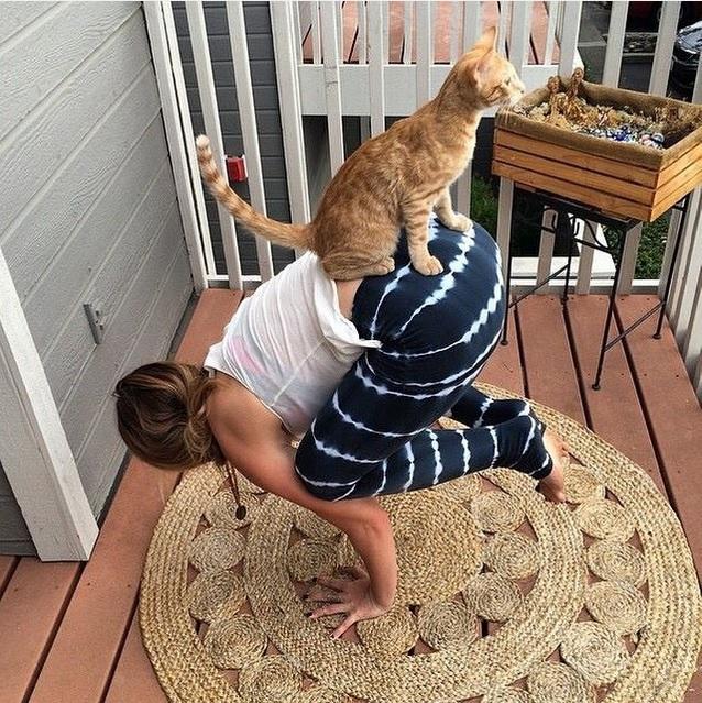 Evcil Hayvanınız Varken Yoga & Sporunuz Berbat Olacak