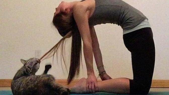 Evcil Hayvanınız Varken Yoga & Sporunuz Berbat Olacak