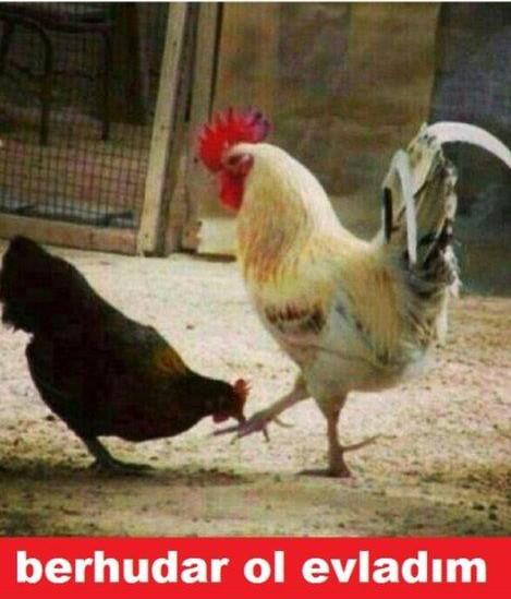 En Komik Bayram Capsleri
