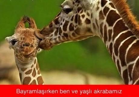 En Komik Bayram Capsleri