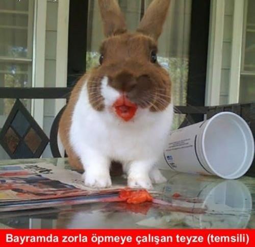 En Komik Bayram Capsleri
