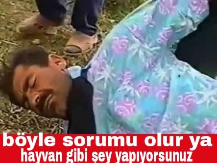 Sitede ki Sorular Üzerine Tepkilerim